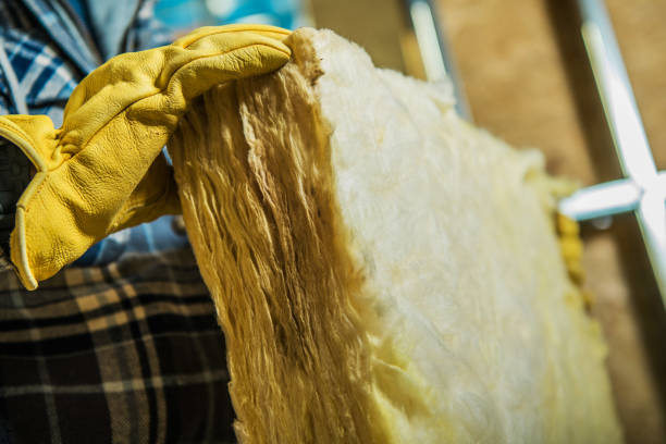Best Specialized Insulation Services in Belle, WV