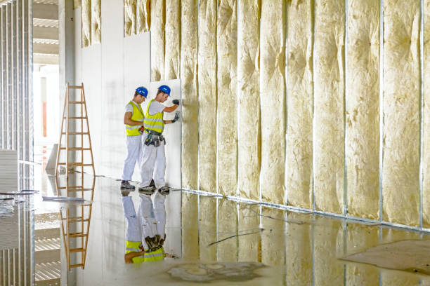 Best Eco-Friendly Insulation in Belle, WV